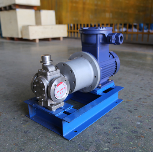 圓弧齒輪泵YCB10-1.6整機(jī)、配磁力聯(lián)軸器.JPG